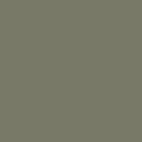 Color of #787967