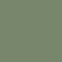 Color of camouflage green