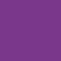 Color of vivid violet
