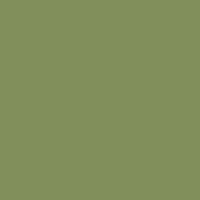 Color of #818F5B