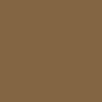 Color of raw umber