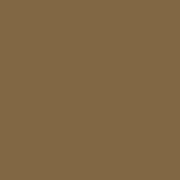 Color of #826745