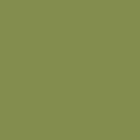 Color of #838D4E