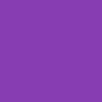 Color of #873DB2