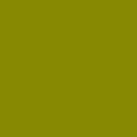 Color of #878900