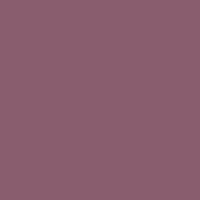 Color of #895D6E