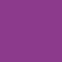 Color of #8C3A8C