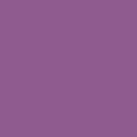 Color of #8F5B8F