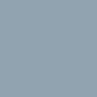 Color of cadet gray