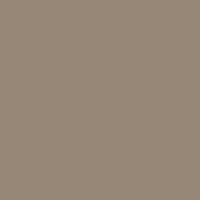 Color of #978776