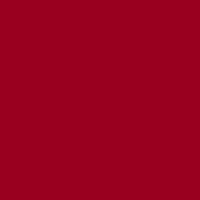 Color of #99001F