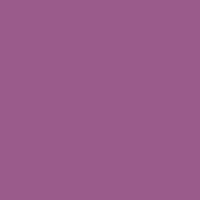 Color of #9A5B8B