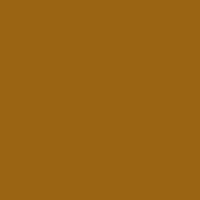 Color of #9A6413