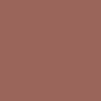 Color of #9A655A