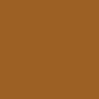 Color of #9C6024