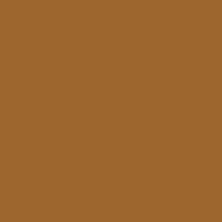 Color of #9D662F