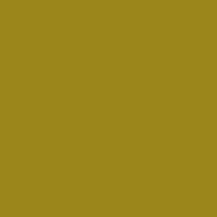 Color of #9D851B