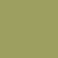 Color of #9D9F60