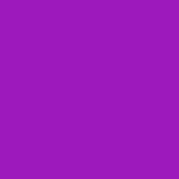 Color of #9E19BC