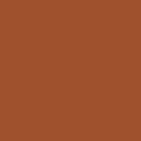 Color of #9F512D