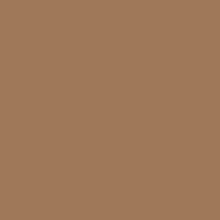 Color of #9F7859