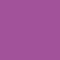 Color of #A2529A