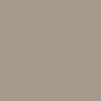 Color of #A49A8D