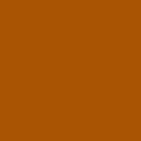 Color of #A75402