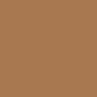 Color of #A87851