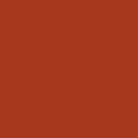 Color of #A9371E