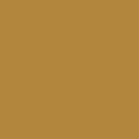 Color of #B2873D