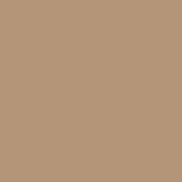 Color of #B59577