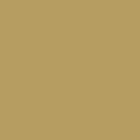 Color of #B69D61