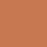 Color of #C87851