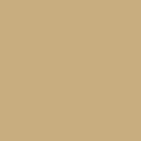 Color of light french beige