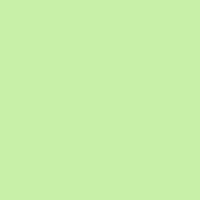 Color of #C8F0A8