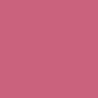 Color of #CA627F