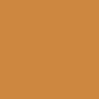 Color of #CD8740