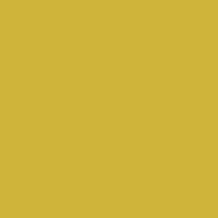 Color of #CFB43A