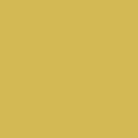 Color of #D3B954