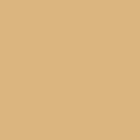 Color of #DBB57F