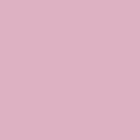 Color of #DDB0C2