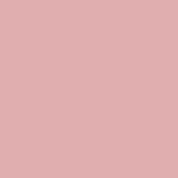 Color of #E0AEAE