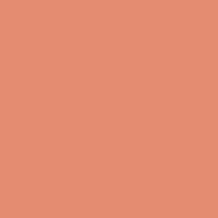 Color of #E48C71