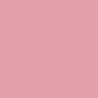 Color of #E4A0A8