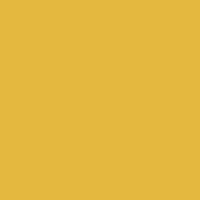 Color of #E4B83F