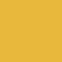 Color of #E5B83C