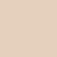 Color of #E5D0BD