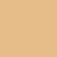 Color of #E6BD89