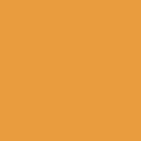 Color of #E99C3E